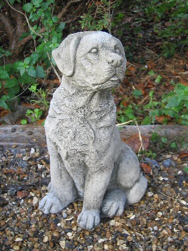 KA131 Medium Labrador KA131 Medium Labrador